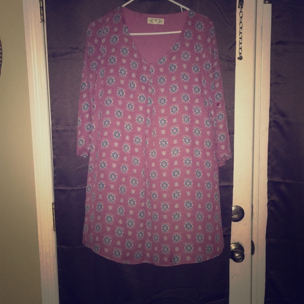 Pink rose sheer dress with built in slip